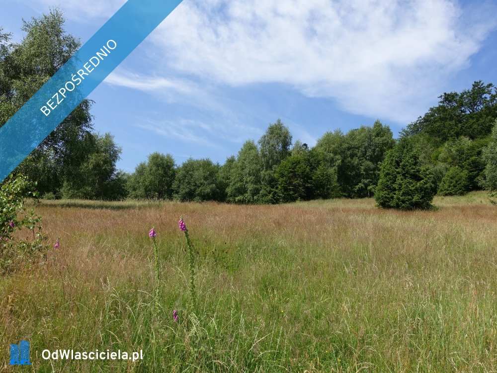 Działka inwestycyjna na sprzedaż Brenna  25 300m2 Foto 7