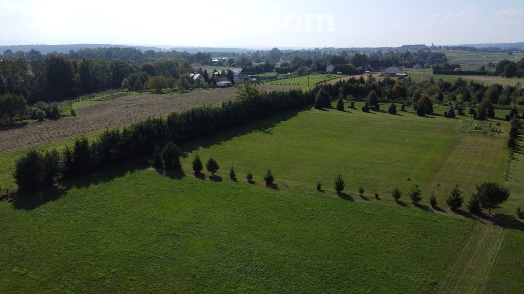 Działka siedliskowa na sprzedaż Moderówka  3 009m2 Foto 15