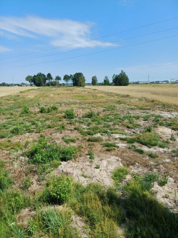 Działka inwestycyjna na sprzedaż Paprotnia  10 100m2 Foto 6