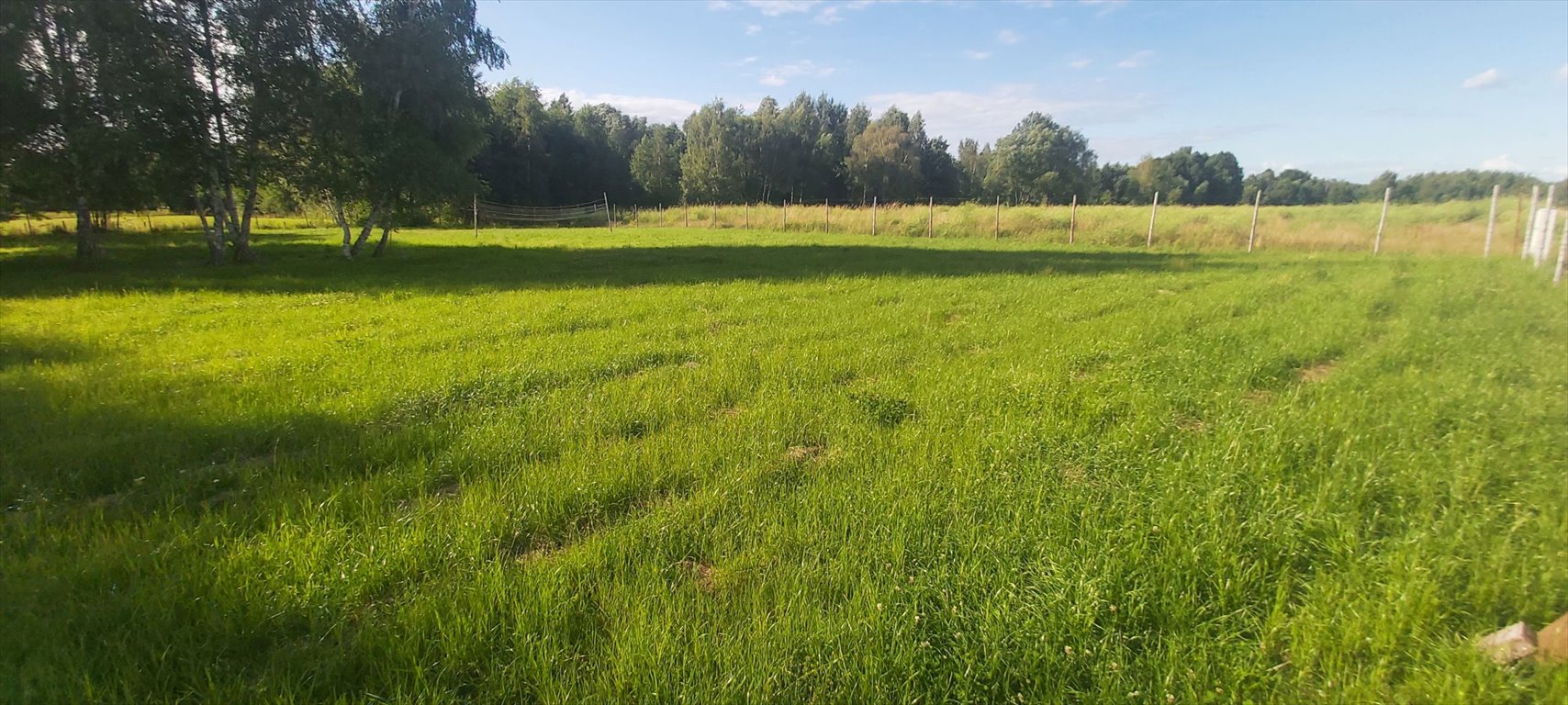 Działka budowlana na sprzedaż Radonie  3 000m2 Foto 6