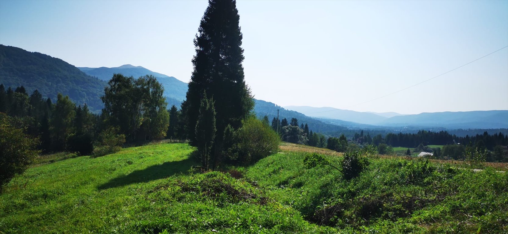 Działka budowlana na sprzedaż Kalnica  5 000m2 Foto 11