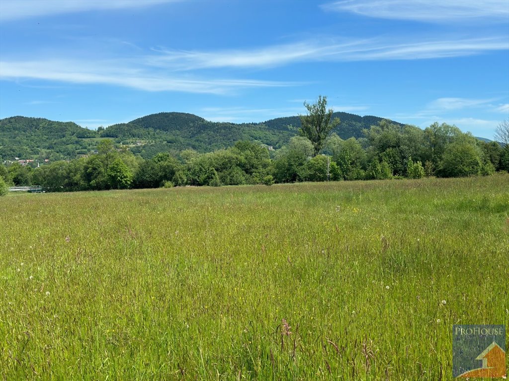 Duża działka z mediami i usługami w Podłopieniu polecam Podłopień  1 308m2 Foto 1