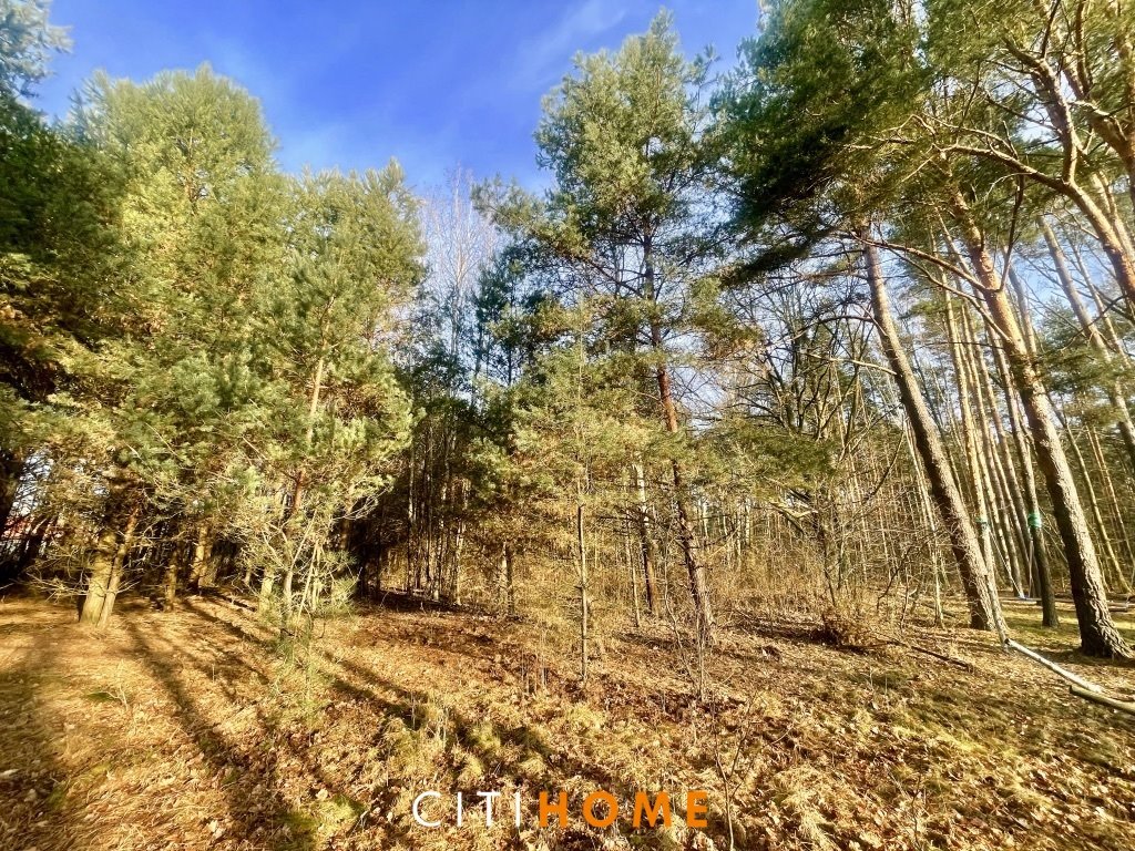 Działka budowlana na sprzedaż Lipowo, Wypoczynkowa  2 253m2 Foto 1