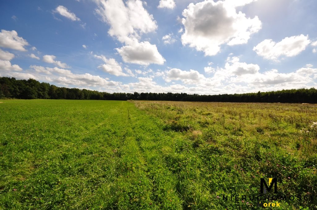 Działka inna na sprzedaż Smolne  3 097m2 Foto 9