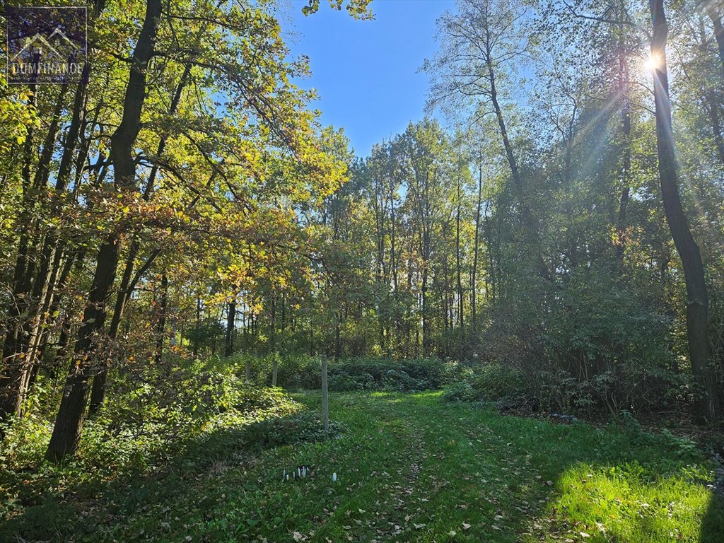 Działka inna na sprzedaż Sutków  29 500m2 Foto 3