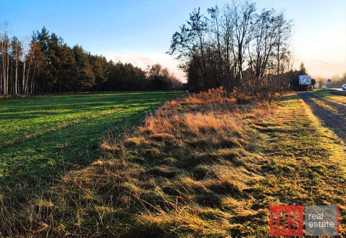 Działka rolna na sprzedaż Sworawa  1 573m2 Foto 2