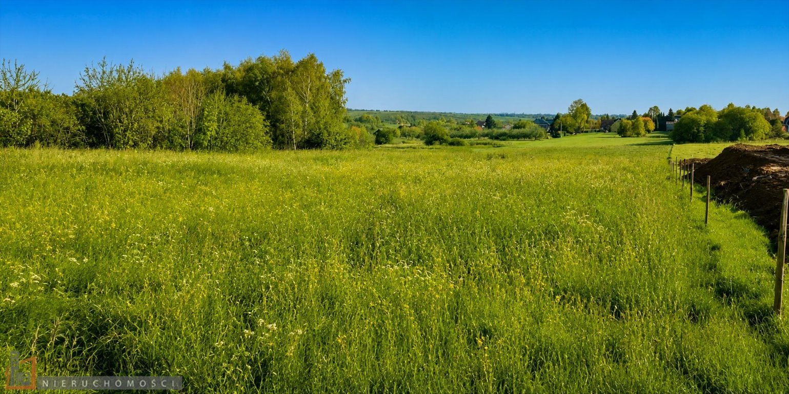 Zapraszam do obejrzenia widokowej działki z pozwoleniem na budowę domu w Smardzowicach Smardzowice  3 800m2 Foto 1