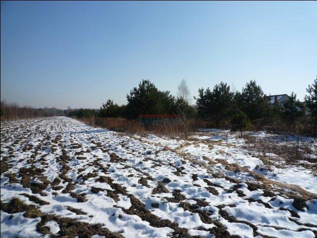 Działka rolna na sprzedaż Żabieniec, Żabieniec  18 700m2 Foto 4