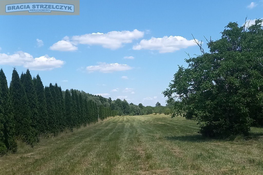 Działka inwestycyjna 39 756 m² pod deweloperkę lub biznes Nowe Wrońska  39 756m2 Foto 1