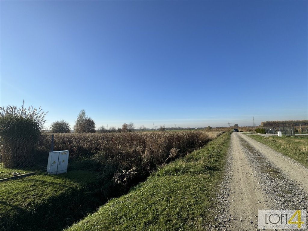 Działka inna na sprzedaż Pawęzów  3 700m2 Foto 11