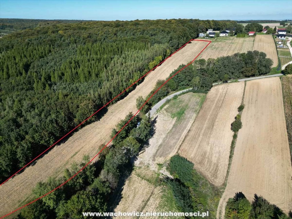 Działka rolna na sprzedaż Podleśna Wola Górna  13 870m2 Foto 3