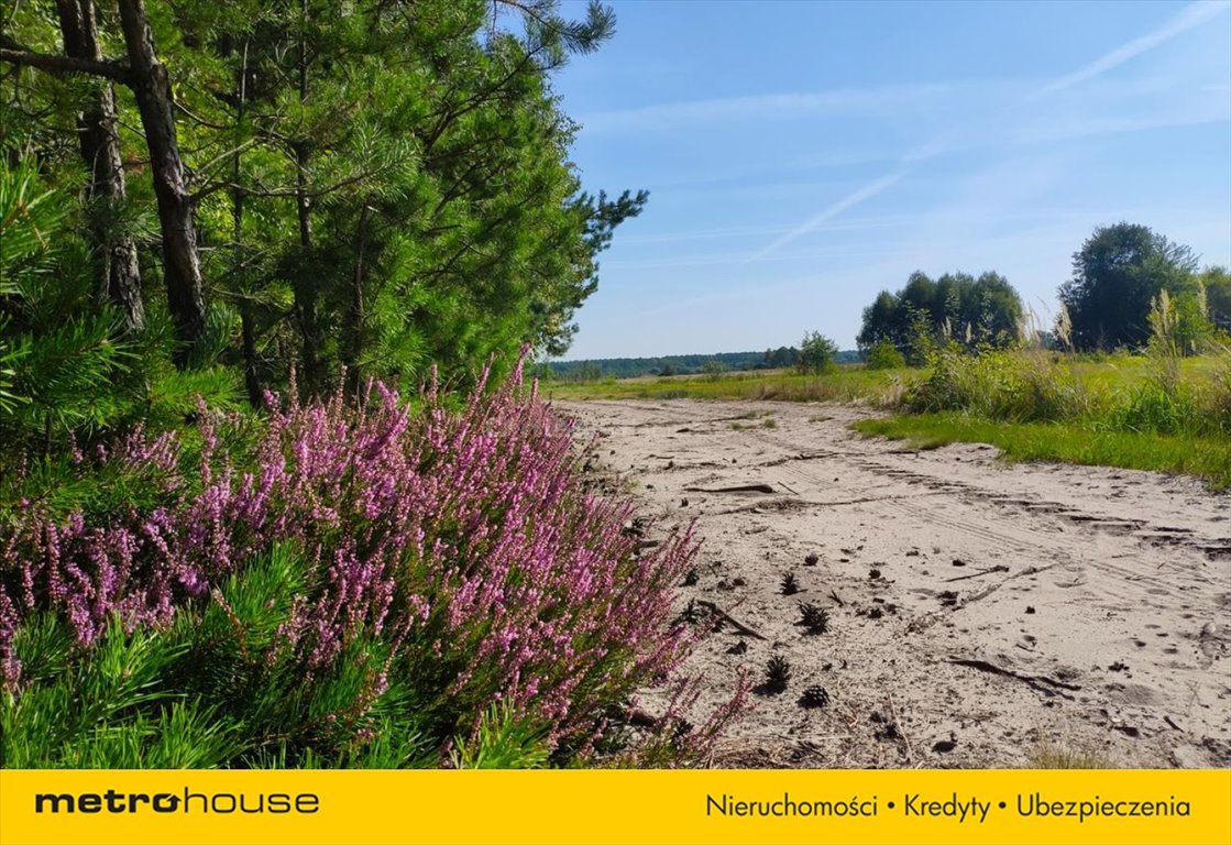 Działka inna na sprzedaż Helenów  3 000m2 Foto 3