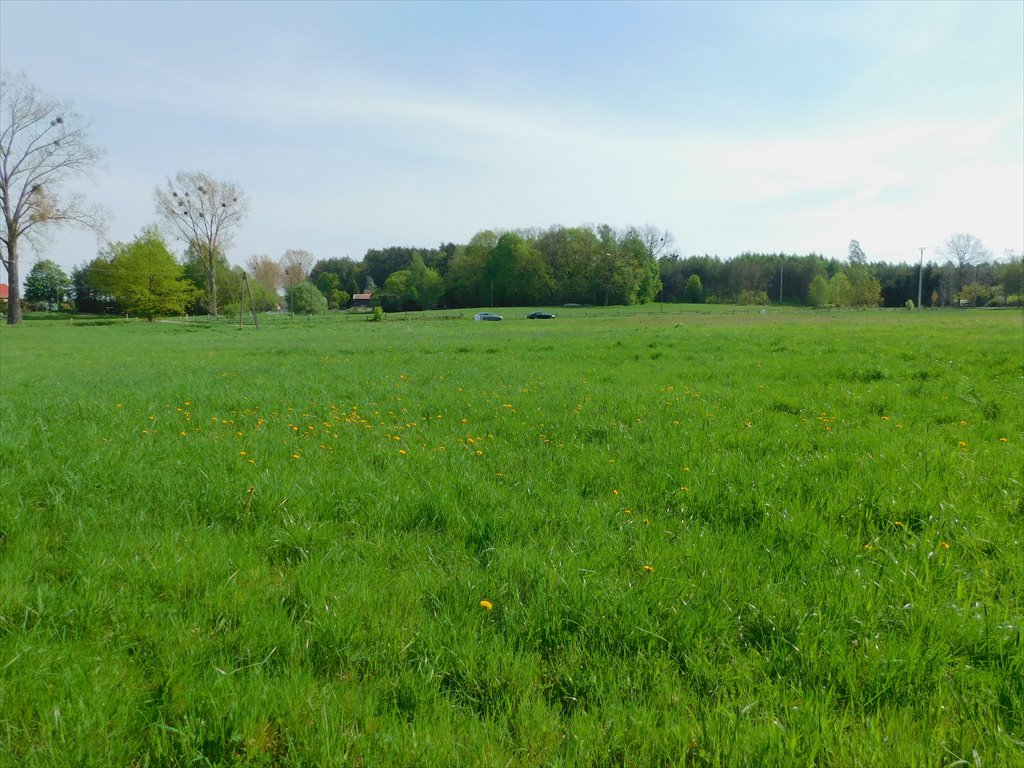 Zapraszam do zakupu działki 3025 m² z warunkami zabudowy w Więckach Więcki  3 025m2 Foto 1