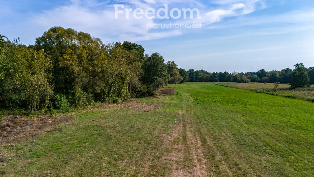 Działka rolna na sprzedaż Warka, Niemojewice  8 614m2 Foto 9