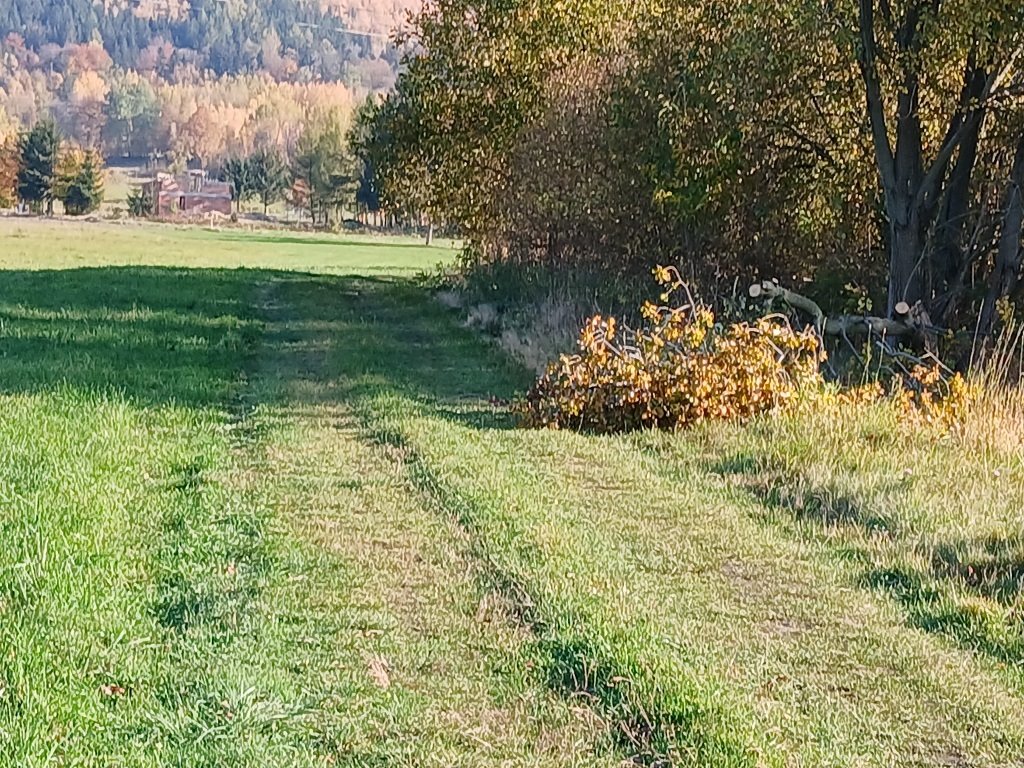 Działka budowlana na sprzedaż Kowary, Tadeusza Rejtana  4 732m2 Foto 6