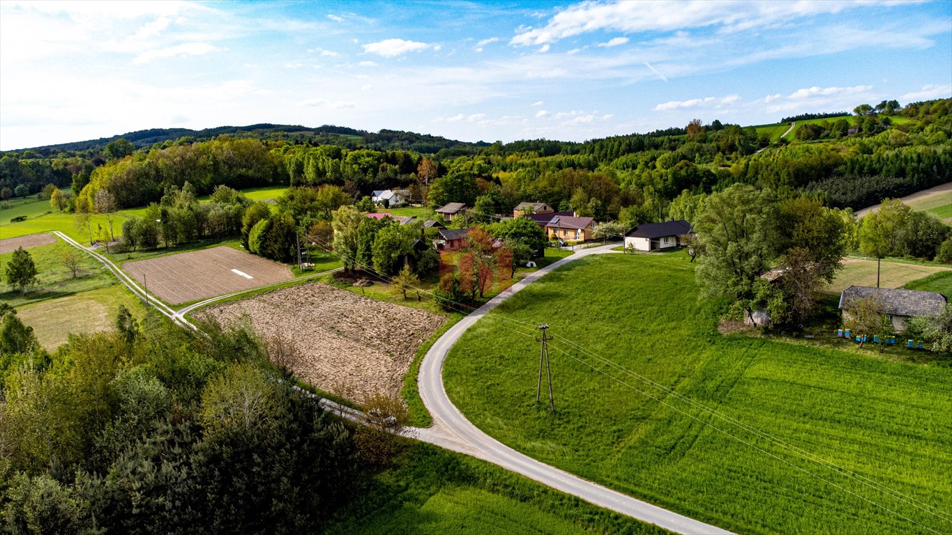 Działka budowlana na sprzedaż Jodłowa  2 700m2 Foto 11