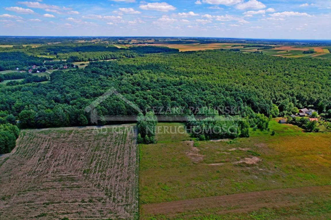 Działka rekreacyjna na sprzedaż Uściąż, Uściąż  4 986m2 Foto 2