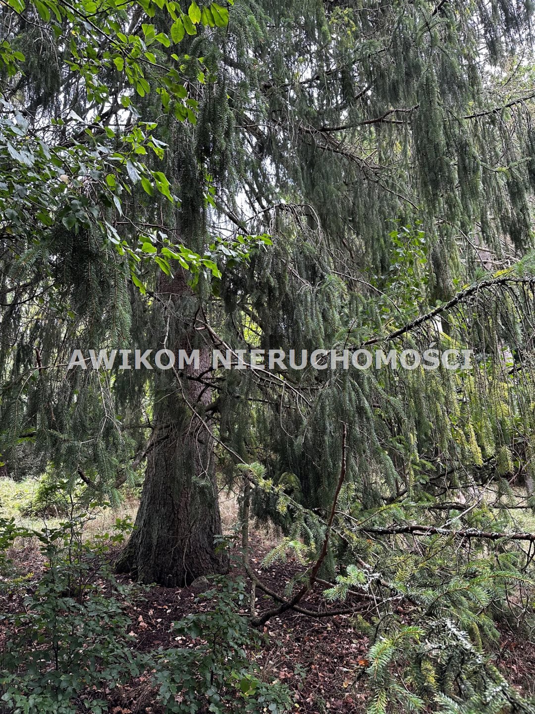 Działka budowlana na sprzedaż Miastko  500 000m2 Foto 10