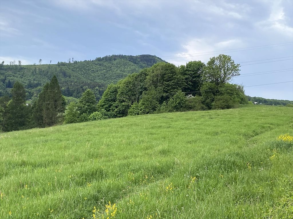 Działka budowlana na sprzedaż Ustroń, Ustroń, Jelenica  2 121m2 Foto 11