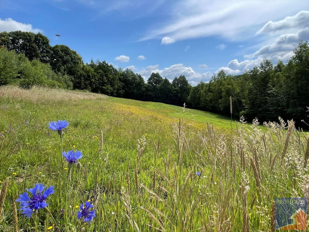 Działka 1700 m² w Starym Rybiu – idealna pod inwestycję Stare Rybie  1 700m2 Foto 1