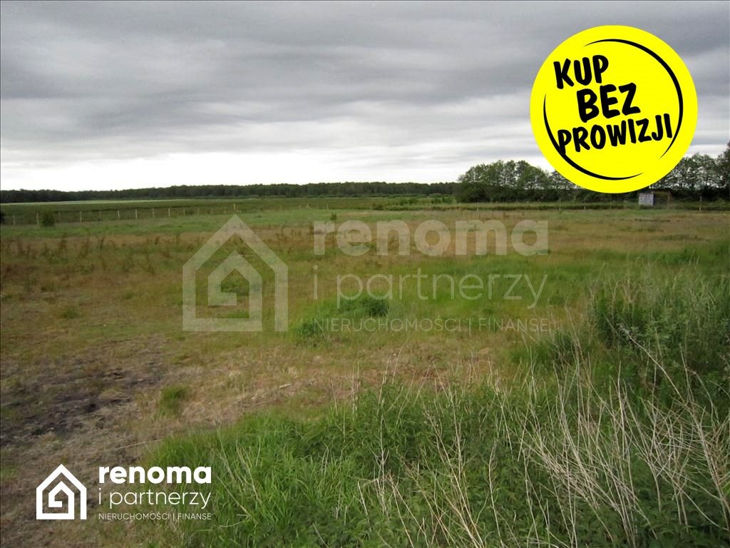 Działka budowlana na sprzedaż Kędzierzyn  17 660m2 Foto 2