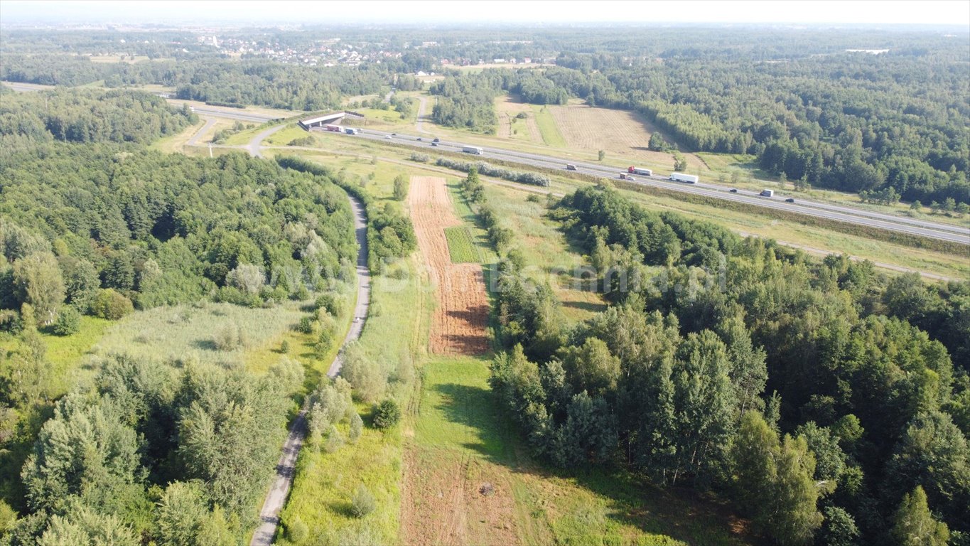 Działka budowlana na sprzedaż Jodłówka  12 700m2 Foto 8