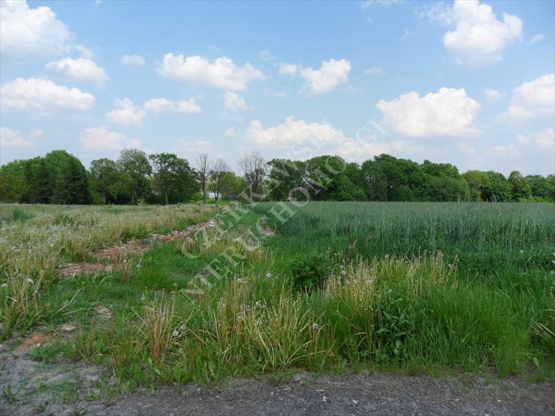 Działka inna na sprzedaż Gliwice, Brzezinka 9 200m2 Foto 1 Działka inna na sprzedaż Gliwice, Brzezinka 9 200m2 Foto 1