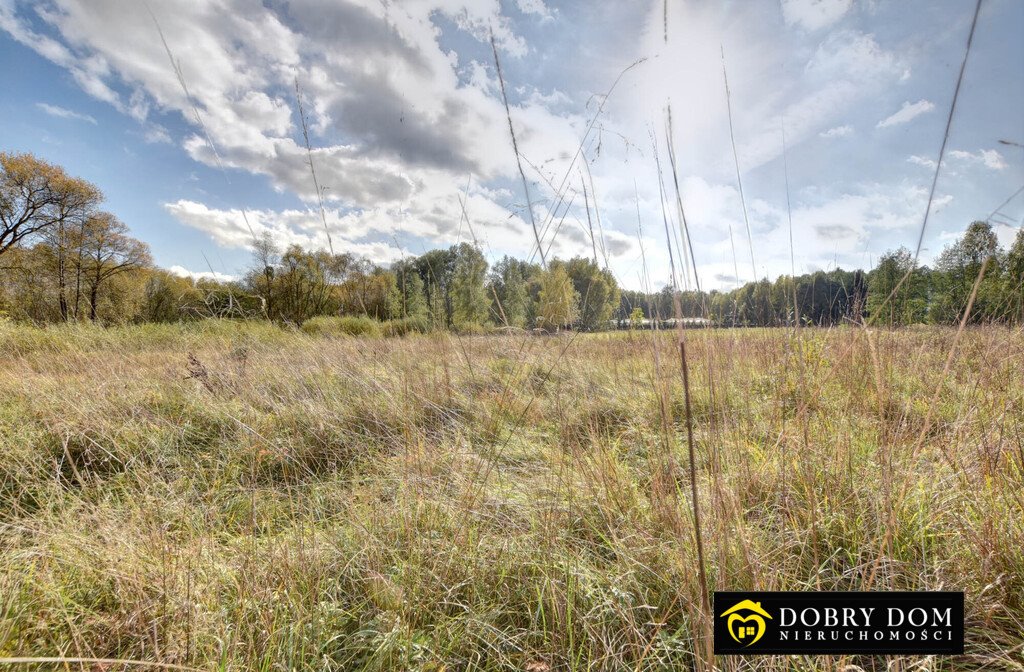 Działka budowlana na sprzedaż Hryniewicze  1 000m2 Foto 10