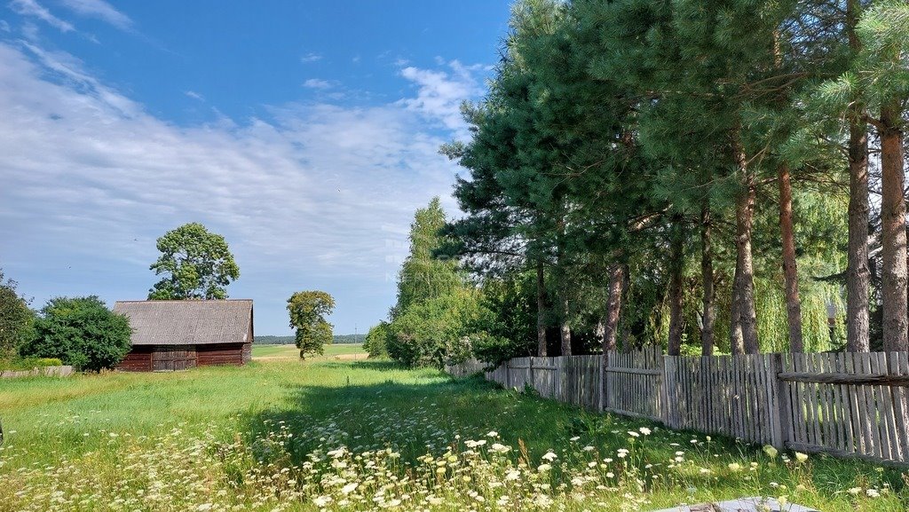 Działka siedliskowa na sprzedaż Wyryki-Połód  4 178m2 Foto 5