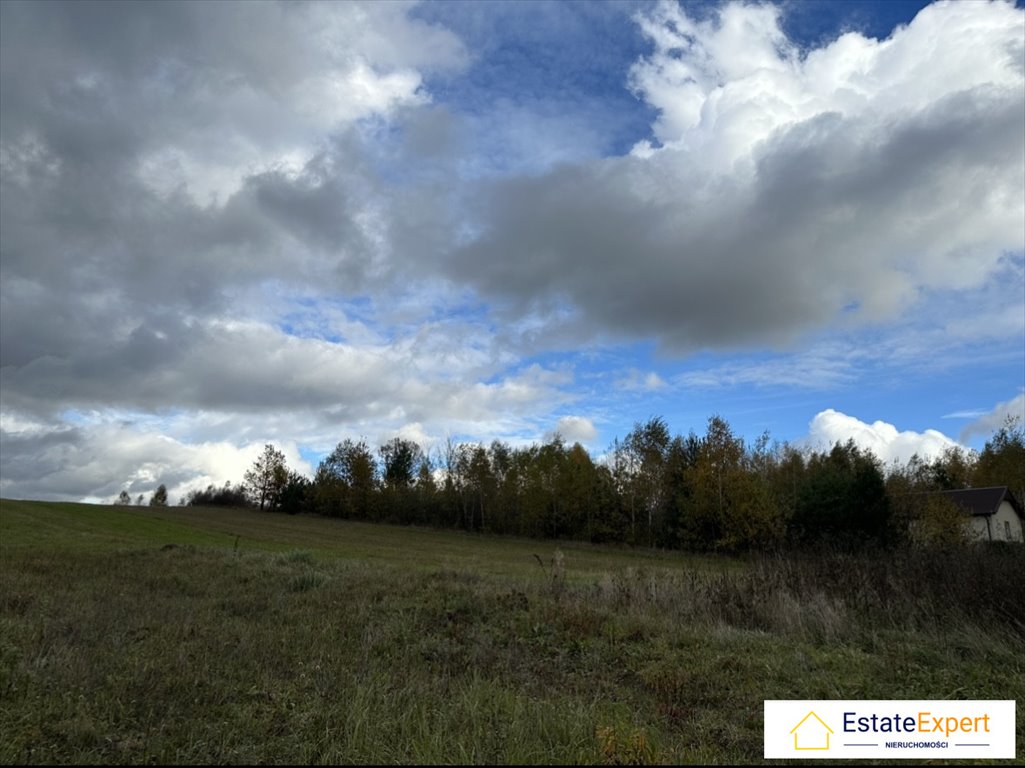 Działka budowlana na sprzedaż Wiącka, Wiącka  5 100m2 Foto 4