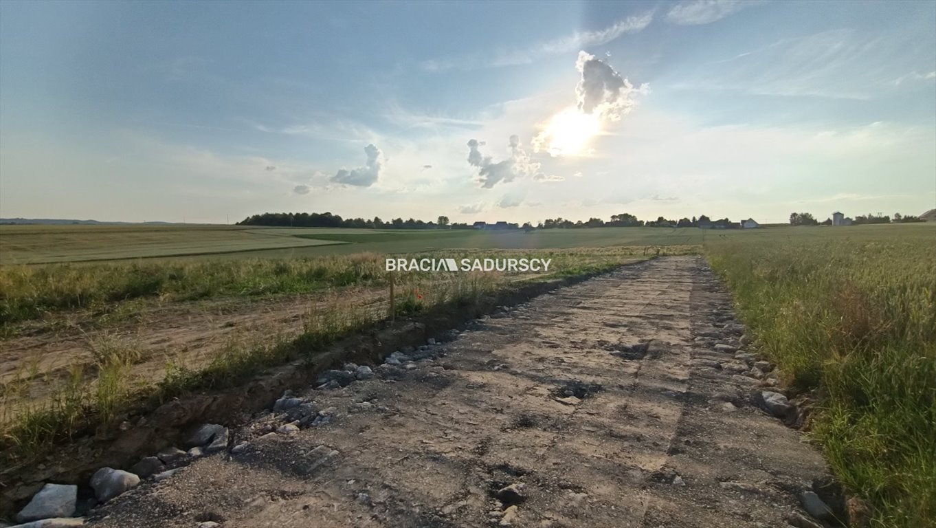 Działka 25 arów pod dom w Sieciechowicach, media, dojazd asfalt Sieciechowice, Długa  2 503m2 Foto 1