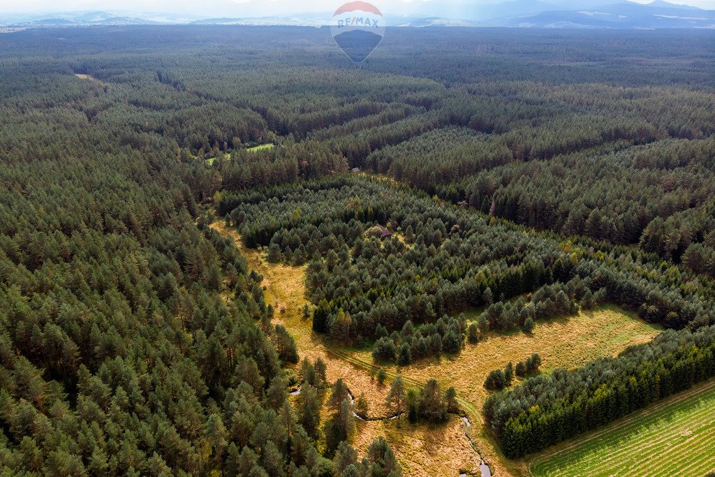 Działka rolna na sprzedaż Jabłonka, Leśna  20 000m2 Foto 10