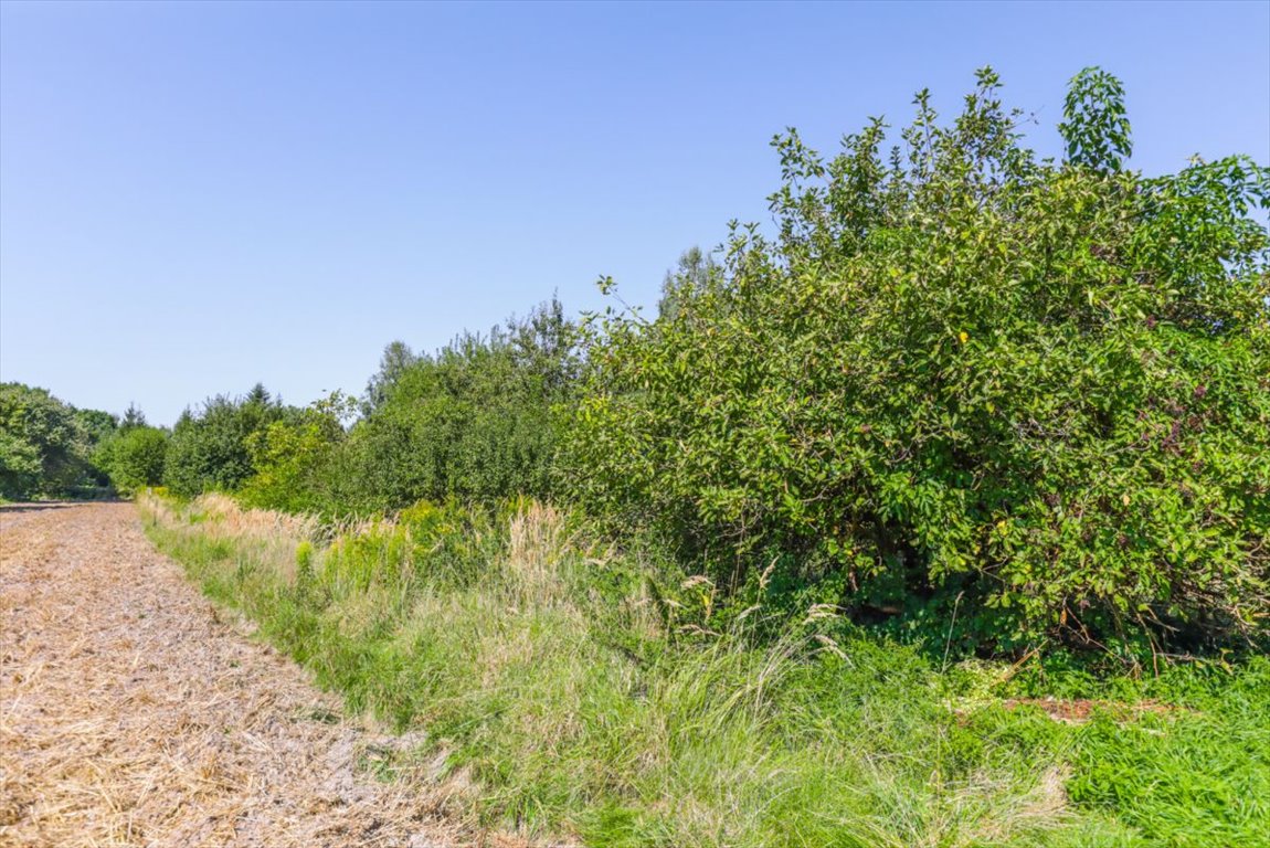 Działka budowlana na sprzedaż Żabia Wola  3 667m2 Foto 4