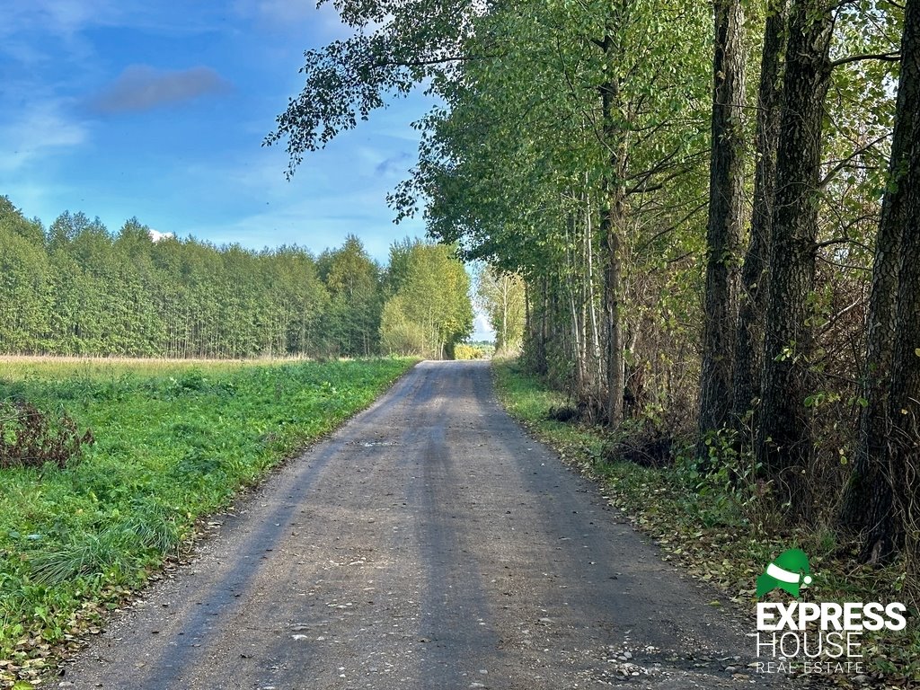 Działka budowlana na sprzedaż Tołcze, Kwiatowa  1 000m2 Foto 4