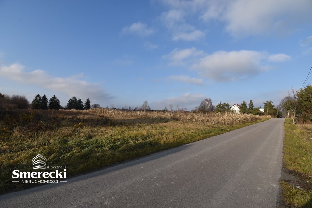 Działka budowlana na sprzedaż Okszów, Sosnowa  3 966m2 Foto 2