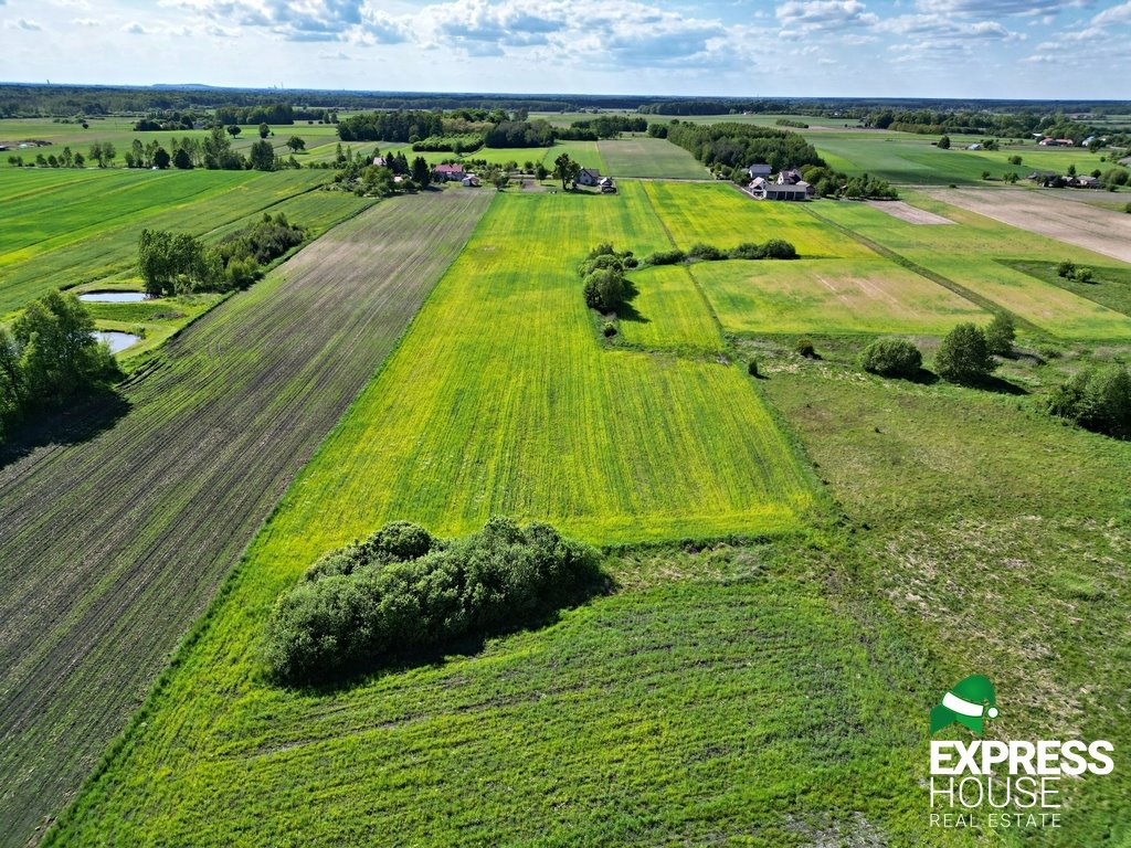 Działka rolna na sprzedaż Świerszczów  31 947m2 Foto 5