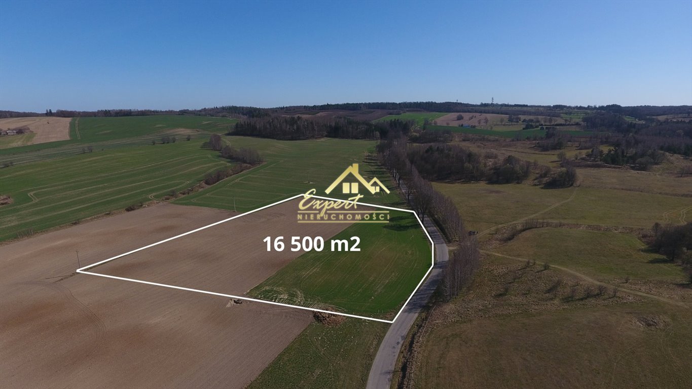 Działka 1,65 ha z warunkami zabudowy i mediami Pietrzwałd  16 500m2 Foto 1