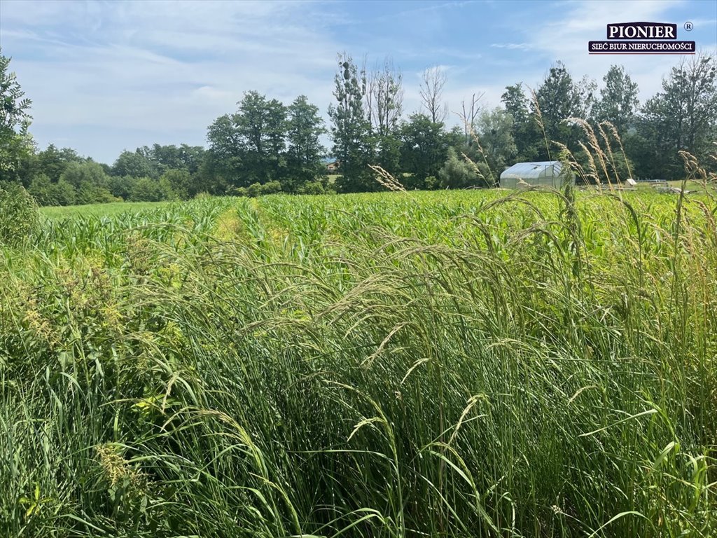 Działka bud.-rolna 2500 m², dojazd asfaltowy, media Goleszów  2 500m2 Foto 1