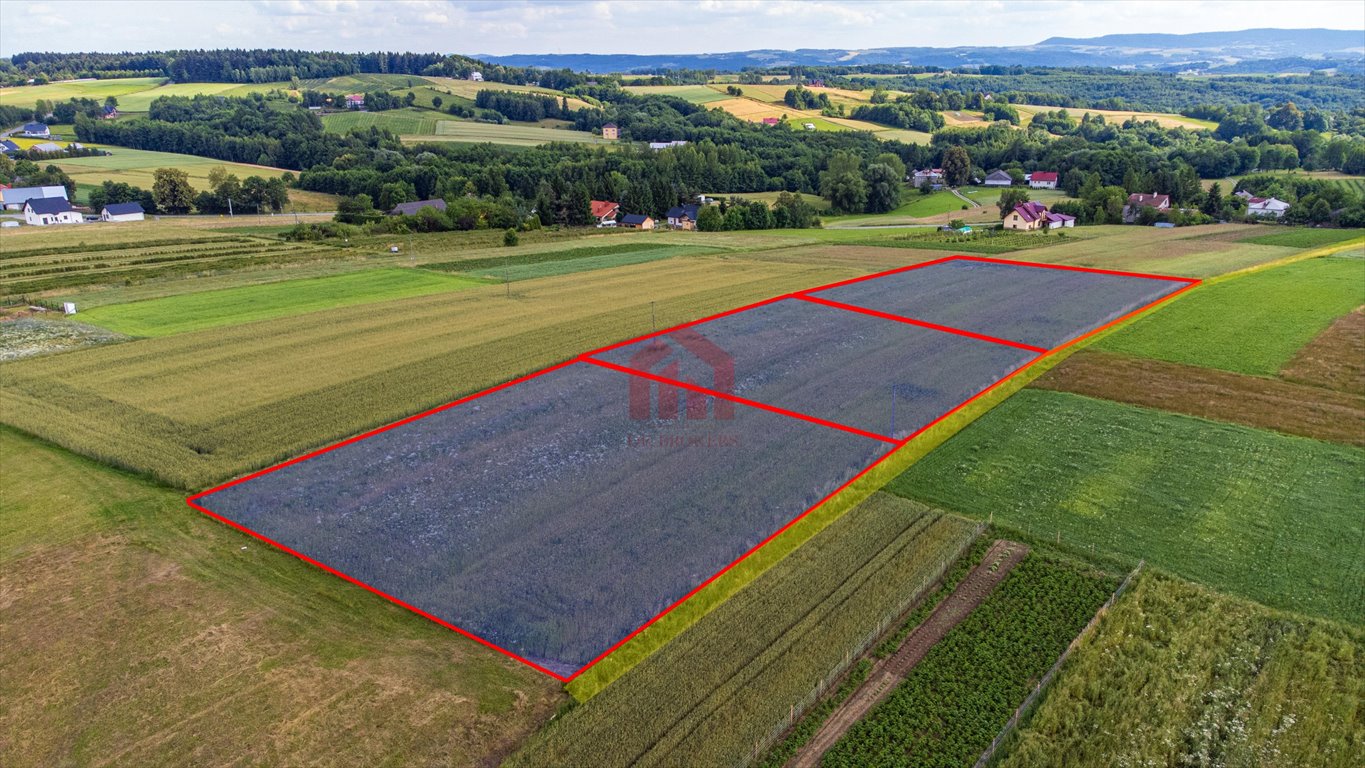 Działka budowlana na sprzedaż Broniszów  3 100m2 Foto 3