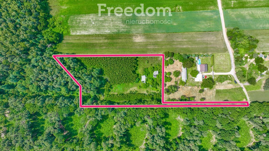 Zapraszam do obejrzenia działki 10 508 m² z mediami i naturalnym zalesieniem Mokra  10 508m2 Foto 1