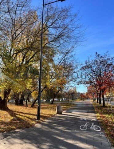 Kawalerka na sprzedaż Warszawa, Bielany, Sokratesa  27m2 Foto 3