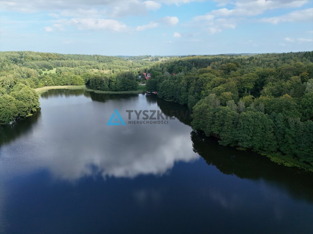 Działka siedliskowa na sprzedaż Mierzeszyn  12 301m2 Foto 11