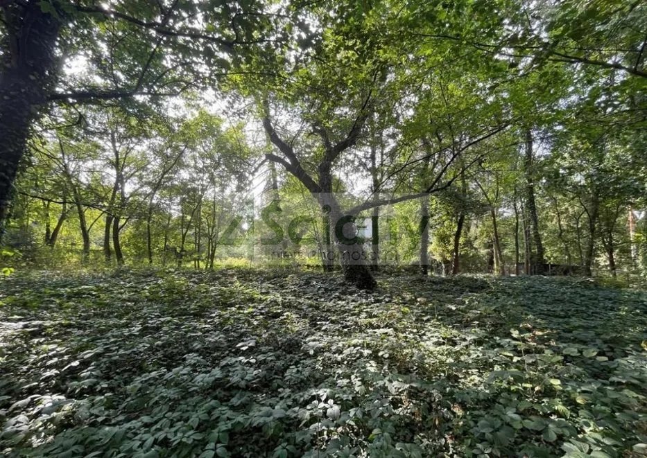 Działka 2484 m2 w Podkowie Leśnej z mediami i MPZP Podkowa Leśna  2 484m2 Foto 1