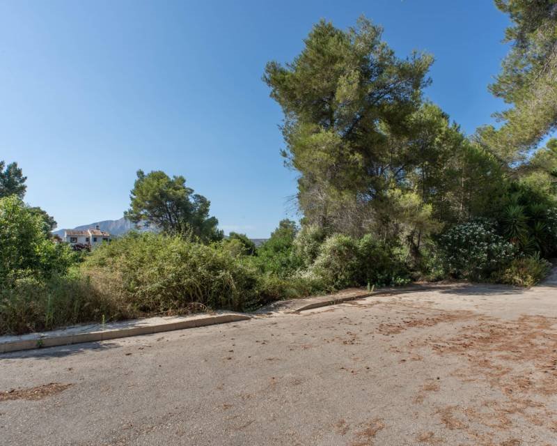 Działka budowlana na sprzedaż Hiszpania, Javea, Hiszpania, Rafalet  1 100m2 Foto 4