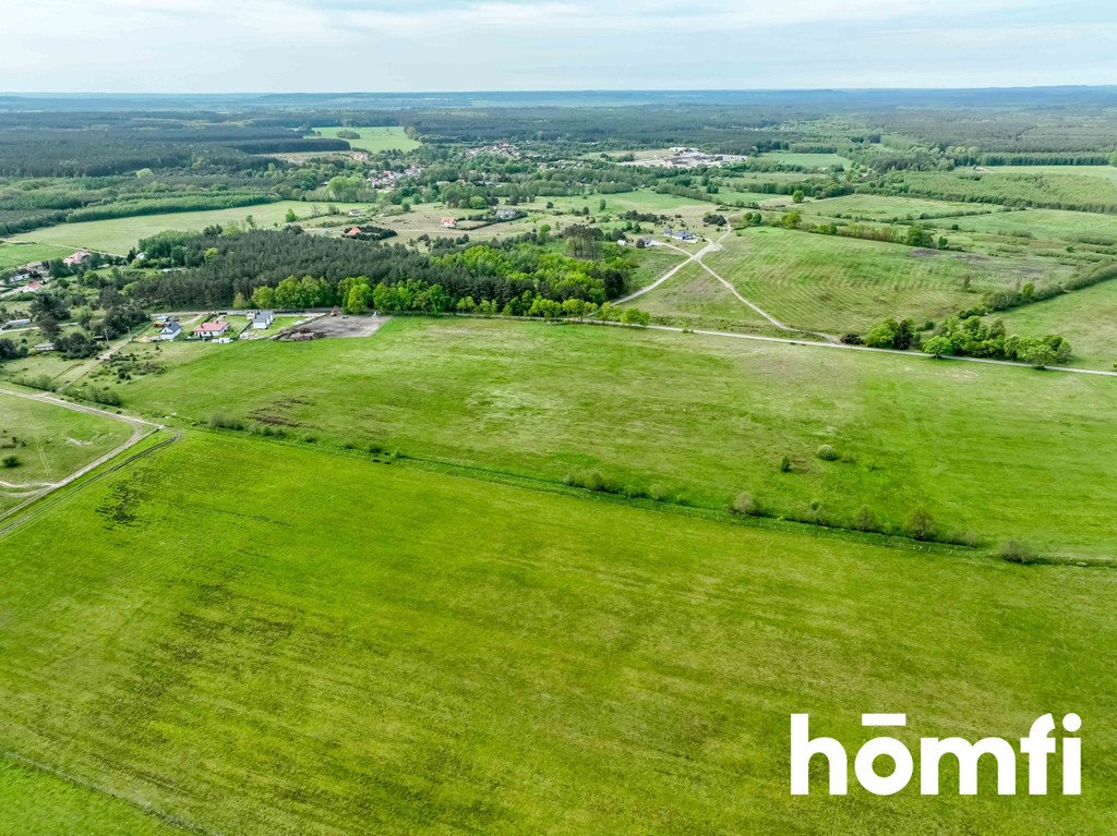 Działka budowlana na sprzedaż Szczenurze, Łebska  50 000m2 Foto 5