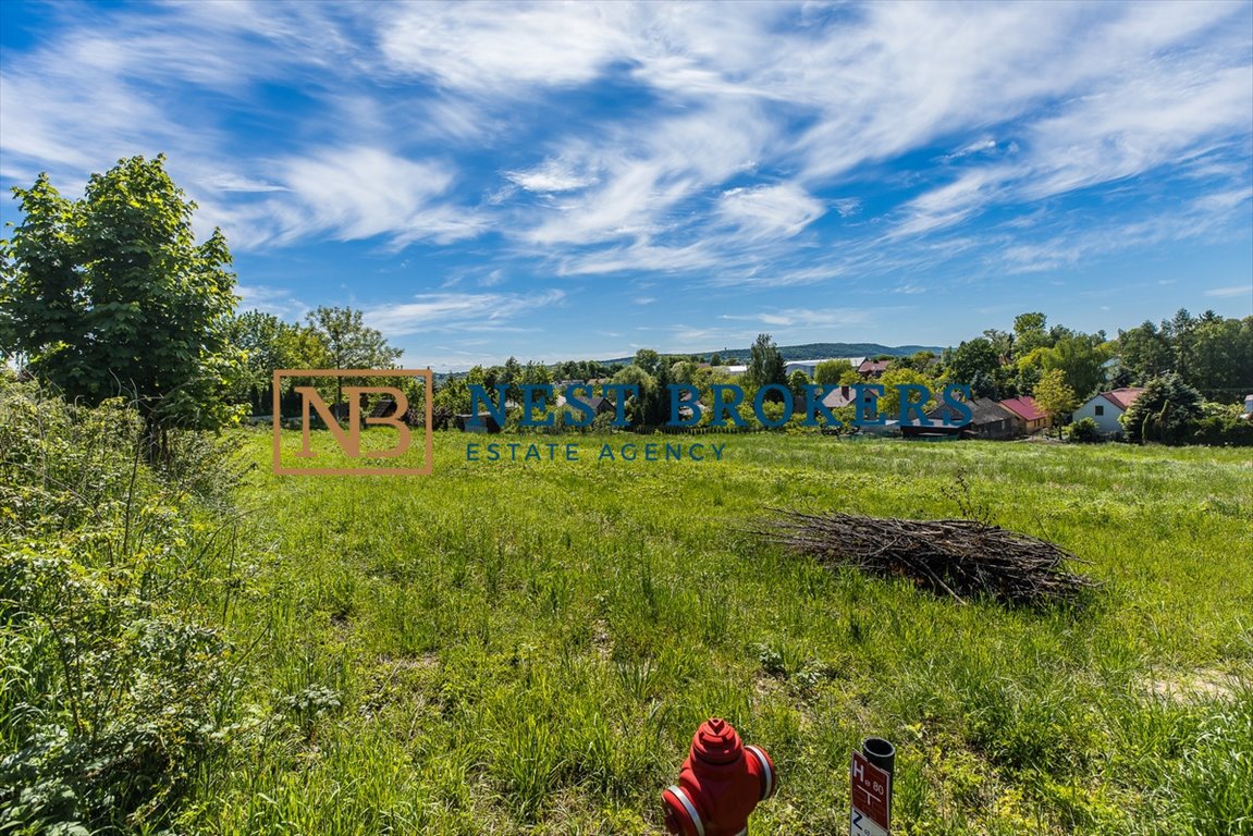 Działka siedliskowa na sprzedaż Brzezie  8 000m2 Foto 8