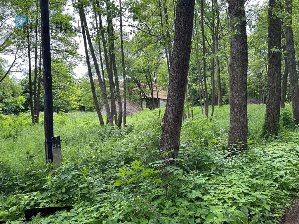 Działka inna na sprzedaż Regulice, Regulice, Regulice  8 600m2 Foto 1