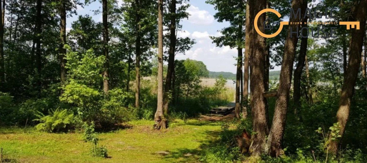 Działka leśna na sprzedaż Iwiczno, Czechowo  3 000m2 Foto 2