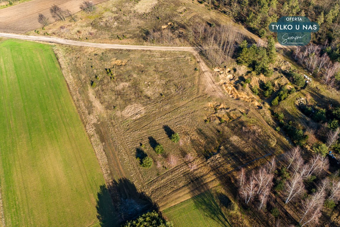 Działka rolna na sprzedaż Wilczków  13 536m2 Foto 3