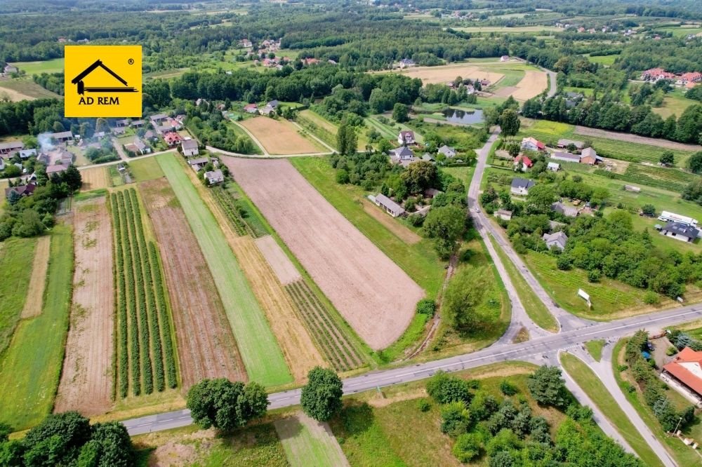 Działka inwestycyjna na sprzedaż Uściąż, Uściąż  10 500m2 Foto 1